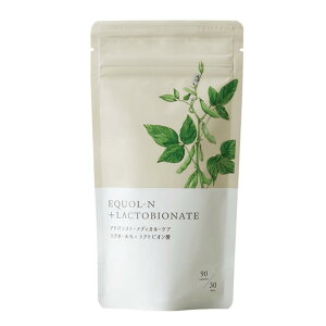 y TVŘb z GNI[N NgrI_ 90