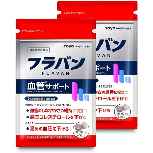 y Tv z to ǃT|[g 60 × 2