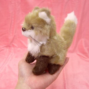 L^Lcl  S TCY:14cm/16cm k k Ezo red fox ӂӂ  ӂ ʂ @Mtg 蕨 j v[g a 傫/ CeA