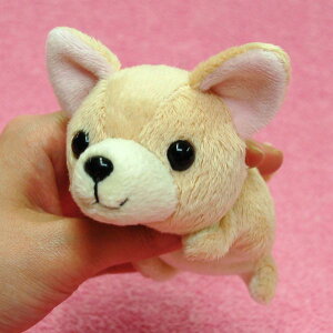 Little Beans �`���� BEIGE �T�C�Y:12cm �ӂ�ӂ� �������� ���ӂ��� �ʂ������ ��������@�M�t�g ���蕨 ���j�� �v���[���g ���a���� �傫��/������ �C���e���A