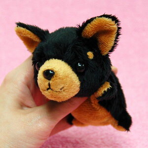 Little Beans �`���� BLACK �T�C�Y:12cm �ӂ�ӂ� �������� ���ӂ��� �ʂ������ ��������@�M�t�g ���蕨 ���j�� �v���[���g ���a���� �傫��/������ �C���e���A