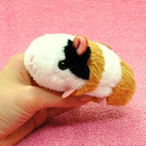 Little Beans bg TCY:11cm ӂӂ  ӂ ʂ @Mtg 蕨 j v[g a 傫/ CeA