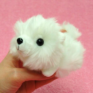 Little Beans |jA WHITE TCY:12cm ӂӂ  ӂ ʂ @Mtg 蕨 j v[g a 傫/ CeA