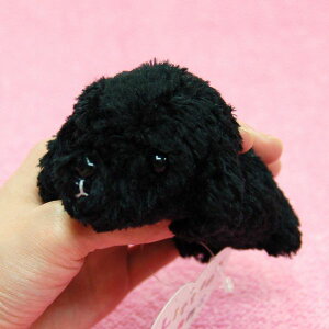 Little Beans v[h BLACK efBxAJbg TCY:10cm ӂӂ  ӂ ʂ @Mtg 蕨 j v[g a 傫/ CeA