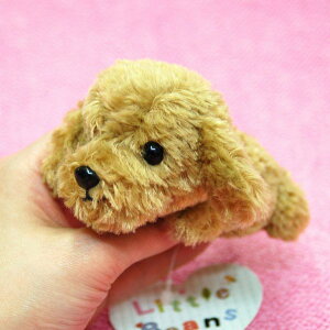 Little Beans v[h BROWN efBxAJbg TCY:10cm ӂӂ  ӂ ʂ @Mtg 蕨 j v[g a 傫/ CeA