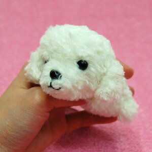 Little Beans v[h WHITE efBxAJbg TCY:10cm ӂӂ  ӂ ʂ @Mtg 蕨 j v[g a 傫/ CeA