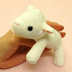 Little Beans €/M/Rr TCY:12cm ӂӂ  ӂ ʂ @Mtg 蕨 j v[g a 傫/ CeA