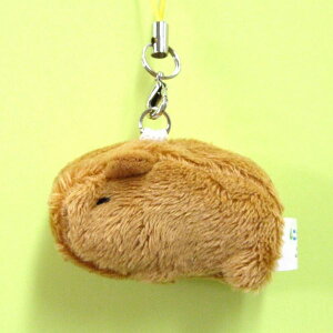 j}gуXgbv Jso TCY:5cm ӂӂ  ӂ ʂ @Mtg 蕨 j v[g a 傫/ CeA