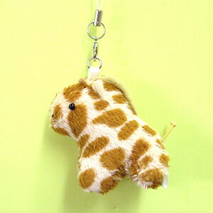 j}gуXgbv L TCY:5cm ӂӂ  ӂ ʂ @Mtg 蕨 j v[g a 傫/ CeA