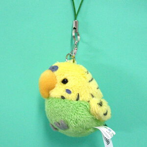 j}gуXgbv ZLZCCR YELLOW/GREEN TCY:5cm ӂӂ  ӂ ʂ @Mtg 蕨 j v[g a 傫/ CeA