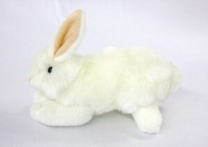  S WHITE@TCYF20cm ӂӂ  ӂ ʂ @Mtg 蕨 j v[g a 傫/ CeA
