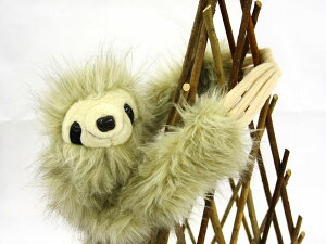 i}Pm M TCYFH25cm() ӂӂ  ӂ ʂ @Mtg 蕨 j v[g a 傫/ CeA