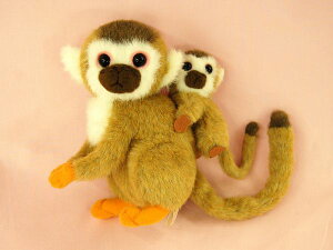 XUeq TCY:H19cm ӂӂ  ӂ ʂ @Mtg 蕨 j v[g a 傫/ CeA