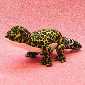 qEgJQhL TCY:28cm ӂӂ  ӂ ʂ @Mtg 蕨 j v[g a 傫/ CeA