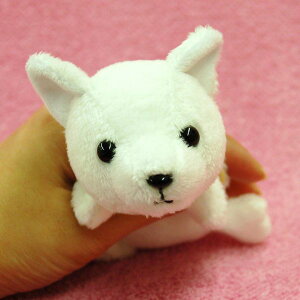 Little Beans �k�C���� �T�C�Y:13cm �ӂ�ӂ� �������� ���ӂ��� �ʂ������ ��������@�M�t�g ���蕨 ���j�� �v���[���g ���a���� �傫��/������ �C���e���A