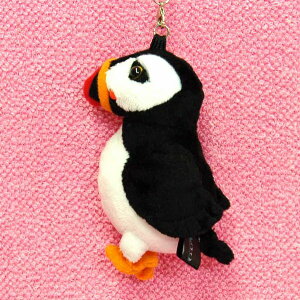 ptBgуXgbv TCY:8.5cm ӂӂ  ӂ ʂ @Mtg 蕨 j v[g a 傫/ CeA