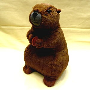 AvX}[bg TCY:30cm ӂӂ  ӂ ʂ @Mtg 蕨 j v[g a 傫/ CeA