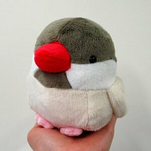 ���j���}�� M ���� GREY/BEIGE �V�i���� �T�C�Y:11cm �ӂ�ӂ� �������� ���ӂ��� �ʂ������ ��������@�M�t�g ���蕨 ���j�� �v���[���g ���a���� �傫��/������ �C���e���A