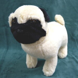 �p�O �����^ �̒�18cm �̍�14cm ���̍���19cm Pug ���̂ʂ������ ���� �C�k