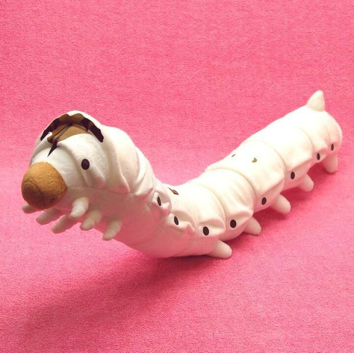 楽天市場 カイコ特大 蚕 Silkworm サイズ 65cm 送料無料 Love Journey