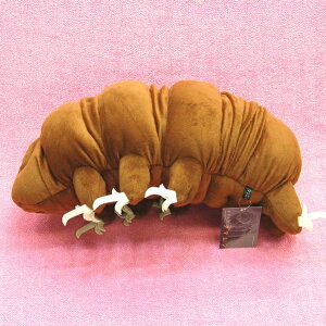 RdiN}V XL TCY:50cm()Water bear/Tardigrades/Ramazzottius varieornatus ӂӂ  ӂ ʂ @Mtg 蕨 j v[g a 傫/