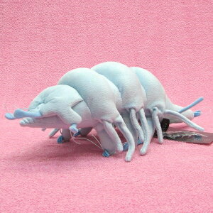 マネチカクマムシ Lサイズ S/BLUE サイズ:32cm Water bear/Tardigrades/Parastygarctus Renaud-Debyser ふわふわ もちもち もふもふ ぬいぐるみ おもちゃ ギフト 贈り物 お祝い プレゼント お誕生日 大きい/小さ