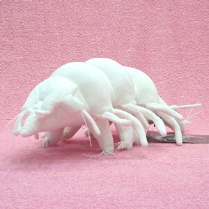 マネチカクマムシ Lサイズ WHITE サイズ:32cm Water bear/Tardigrades/Parastygarctus Renaud-Debyser ふわふわ もちもち もふもふ ぬいぐるみ おもちゃ ギフト 贈り物 お祝い プレゼント お誕生日 大きい/小さ