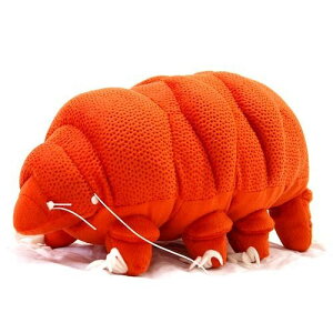 jzgQN}V TCY:30cm() ӂӂ  ӂ ʂ @Mtg 蕨 j v[g a 傫/ CeA