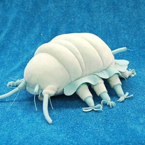 EBOXg_[N^XAXJv^X S/BLUE TCY:30cm ӂӂ  ӂ ʂ @Mtg 蕨 j v[g a 傫/ CeA