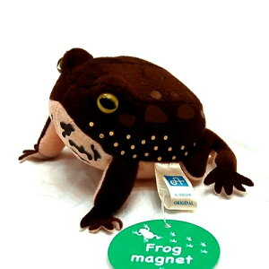 Frog magnet AtNKG /JG/tbO/^ TCY:10cm ӂӂ  ӂ ʂ @Mtg 蕨 j v[g a 傫/ CeA