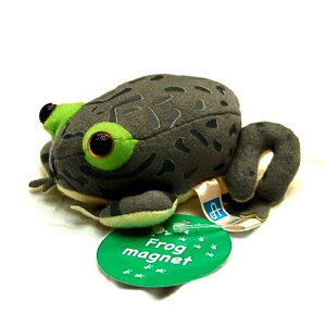 Frog magnet }^sIJKG /JG/tbO/^ TCY:10cm ӂӂ  ӂ ʂ @Mtg 蕨 j v[g a 傫/ Ce