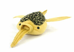 �h���A�X�s�X Doryaspis �T�C�Y�F25cm �ӂ�ӂ� �������� ���ӂ��� �ʂ������ ��������@�M�t�g ���蕨 ���j�� �v���[���g ���a���� �傫��/������ �C���e���A