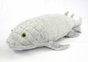 �f�B�v�m�����N�X Dipnorhynchus �T�C�Y�F65cm �ӂ�ӂ� �������� ���ӂ��� �ʂ������ ��������@�M�t�g ���蕨 ���j�� �v���[���g ���a���� �傫��/������ �C���e���A