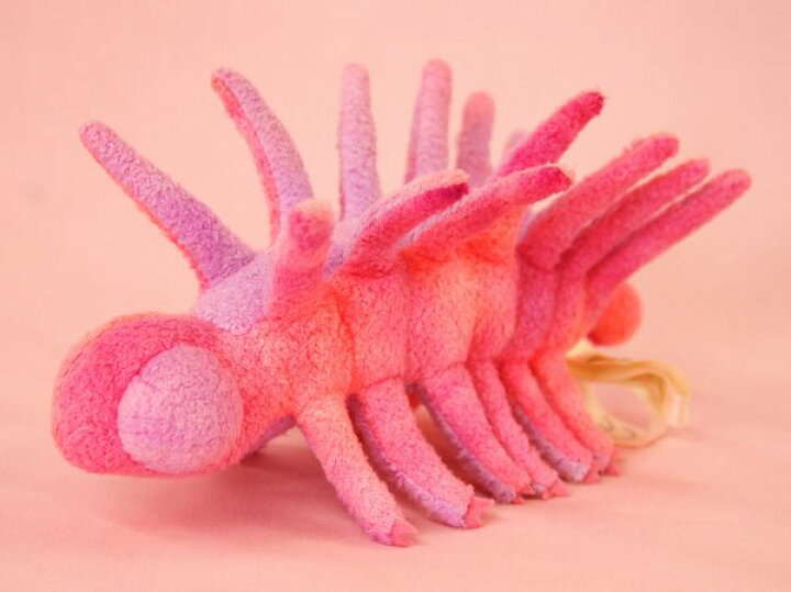 楽天市場】ハルキゲニア Hallucigenia サイズ：19cm ふわふわ もちもち 