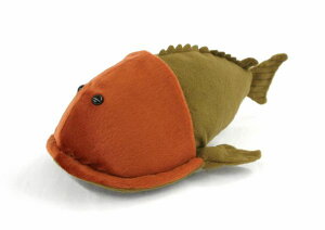 w~LNXsX Hemicyclaspis TCYF30cm ӂӂ  ӂ ʂ @Mtg 蕨 j v[g a 傫/ CeA