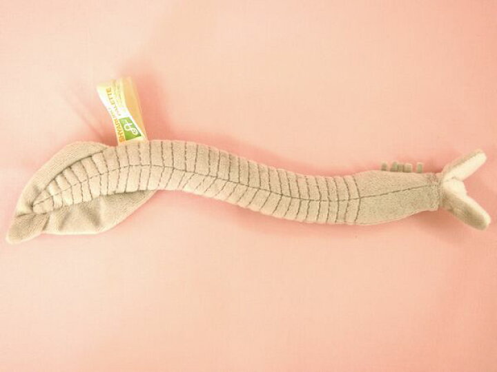 楽天市場 ピカイア Pikaia サイズ L25cm Love Journey 楽天市場 ピカイア Pikaia サイズ L25cm Love Journey