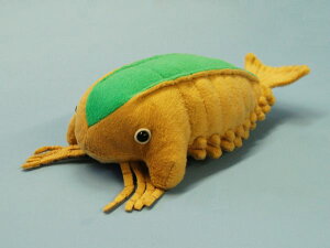 �T���N�^�J���X Sanctacaris �T�C�Y�F23cm �ӂ�ӂ� �������� ���ӂ��� �ʂ������ ��������@�M�t�g ���蕨 ���j�� �v���[���g ���a���� �傫��/������ �C���e���A