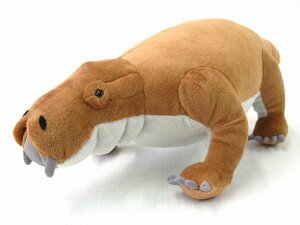 �f�B�L�m�h�� Dicynodon �T�C�Y:31cm �ӂ�ӂ� �������� ���ӂ��� �ʂ������ ��������@�M�t�g ���蕨 ���j�� �v���[���g ���a���� �傫��/������ �C���e���A