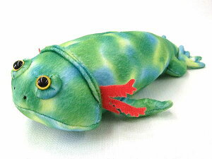 QgbNX Gerrothorax TCY:30cm ӂӂ  ӂ ʂ @Mtg 蕨 j v[g a 傫/ CeA