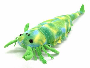 �v�e���S�[�g�D�X Pterygotus �T�C�Y�F45cm �ӂ�ӂ� �������� ���ӂ��� �ʂ������ ��������@�M�t�g ���蕨 ���j�� �v���[���g ���a���� �傫��/������ �C���e���A