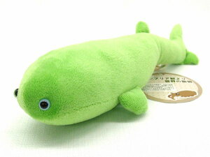 �e���h�D�X Thelodus �T�C�Y�F31.5cm �ӂ�ӂ� �������� ���ӂ��� �ʂ������ ��������@�M�t�g ���蕨 ���j�� �v���[���g ���a���� �傫��/������ �C���e���A