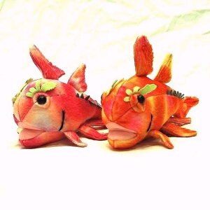 �G�L�m�L�}�G�� Echinochimaera meltoni �T�C�Y�F19cm
