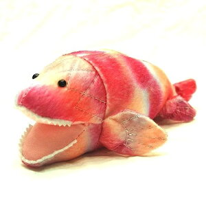 �p���f���N�e�B�X Panderichthys �T�C�Y�F21.5cm �ӂ�ӂ� �������� ���ӂ��� �ʂ������ ��������@�M�t�g ���蕨 ���j�� �v���[���g ���a���� �傫��/������ �C���e���A