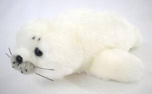 AUV S TCYF24cm ӂӂ  ӂ ʂ @Mtg 蕨 j v[g a 傫/ CeA