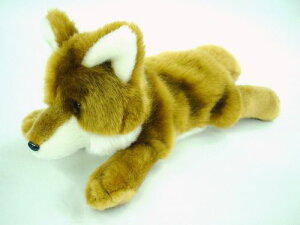 Lcl S BROWN TCYF26cm ӂӂ  ӂ ʂ @Mtg 蕨 j v[g a 傫/ CeA