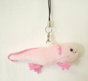 �A�z���[�g�� �g�уX�g���b�v PINK �T�C�Y�FW8cm �ӂ�ӂ� �������� ���ӂ��� �ʂ������ ��������@�M�t�g ���蕨 ���j�� �v���[���g ���a���� �傫��/������ �C���e���A