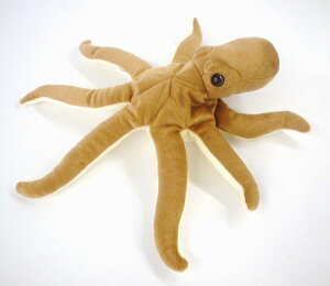 A ^R /TCYF31cm ӂӂ  ӂ ʂ @Mtg 蕨 j v[g a 傫/ CeA