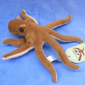 A^R zՕtʂ TCY:悩瓪19cm   Octopus ӂӂ  ӂ ʂ @Mtg 蕨 j v[g a 傫/ CeA