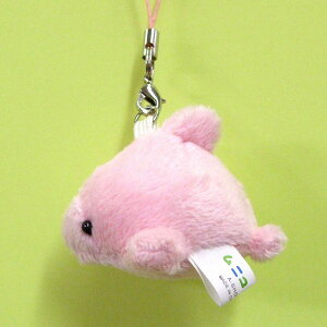 j}gуXgbv CJ PINK TCY:5cm ӂӂ  ӂ ʂ @Mtg 蕨 j v[g a 傫/ CeA