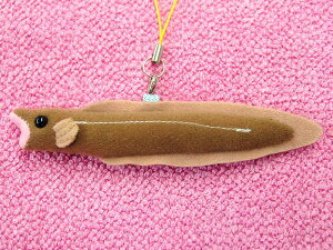 gуXgbv }AiS/^q TCY:12cm ӂӂ  ӂ ʂ @Mtg 蕨 j v[g a 傫/ CeA